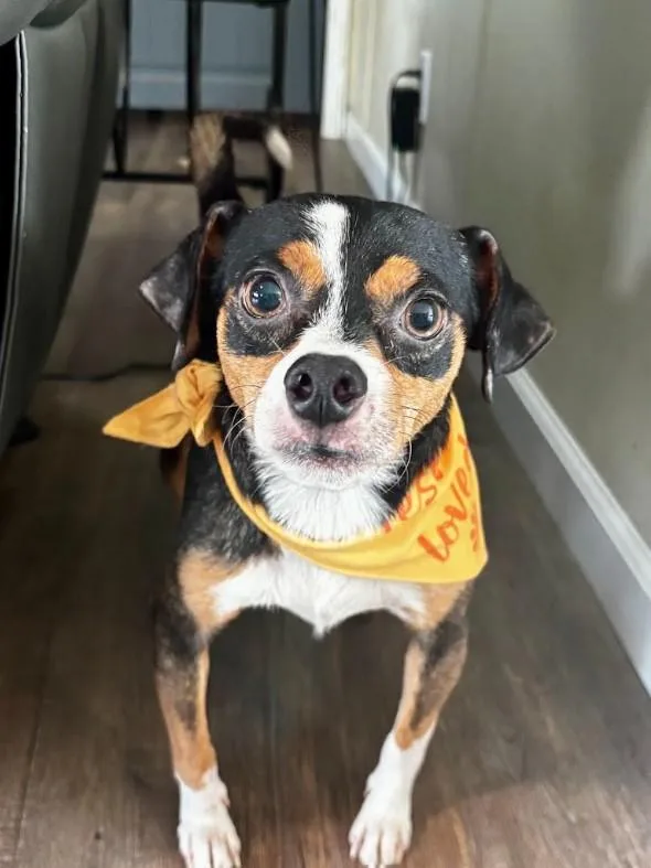 Benny