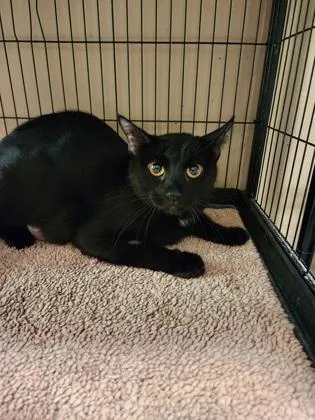 Snow White thumbnail 2