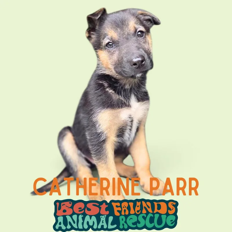 Catherine Parr