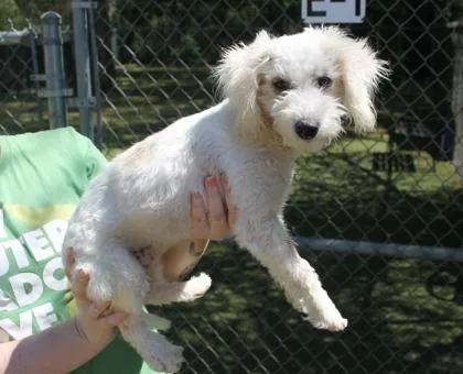 Solstice thumbnail 2