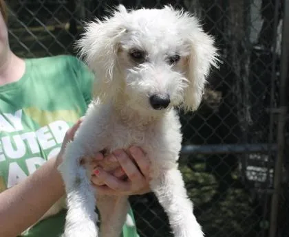 Solstice thumbnail 3