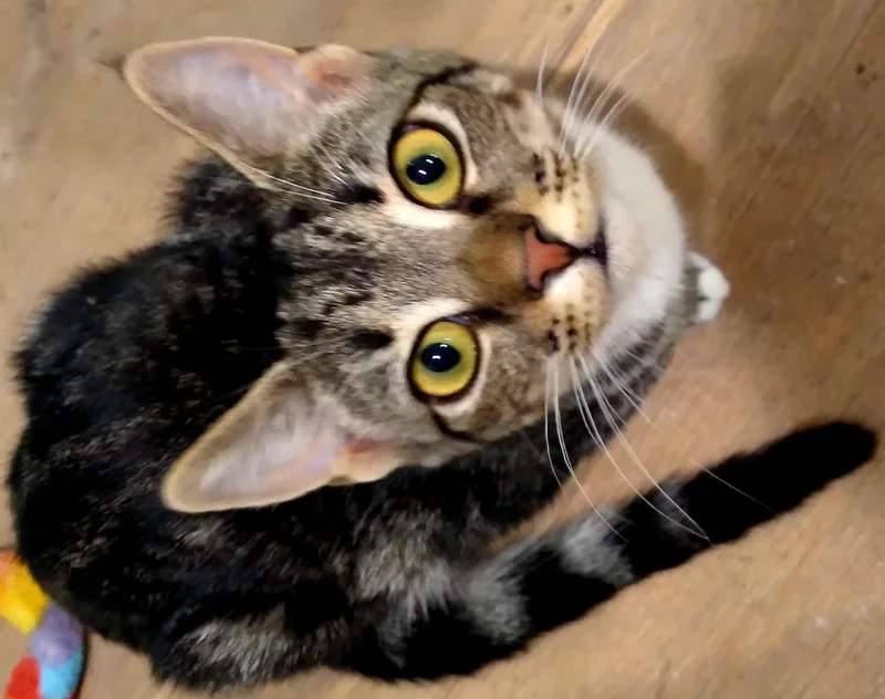 Nolan & Zibby thumbnail 2