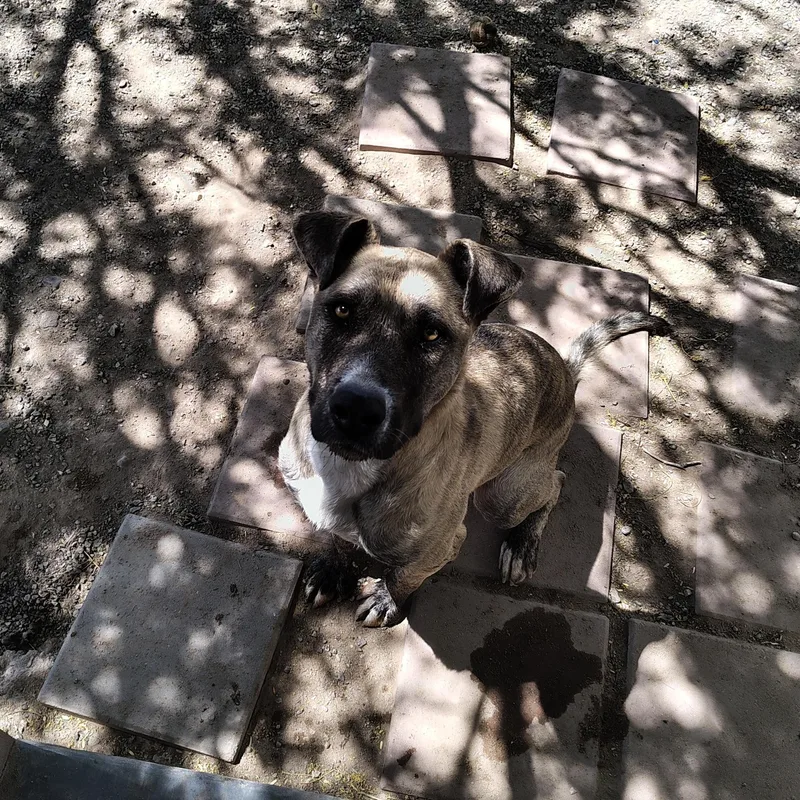 Precious thumbnail 2