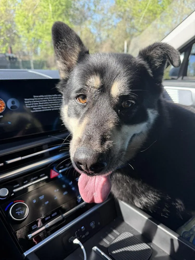 Nightwing thumbnail 3