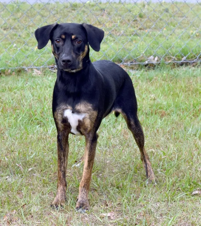 Jethro