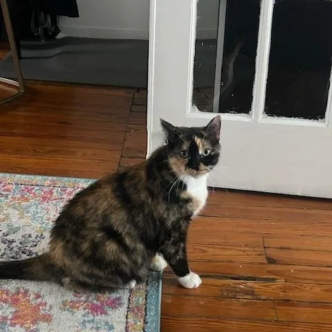 Mila Amber thumbnail 2