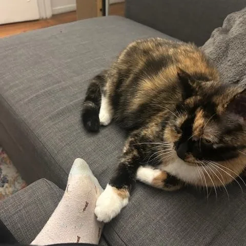 Mila Amber thumbnail 4