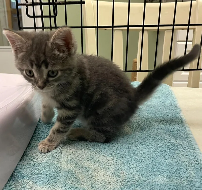 Ellie Mae thumbnail 2