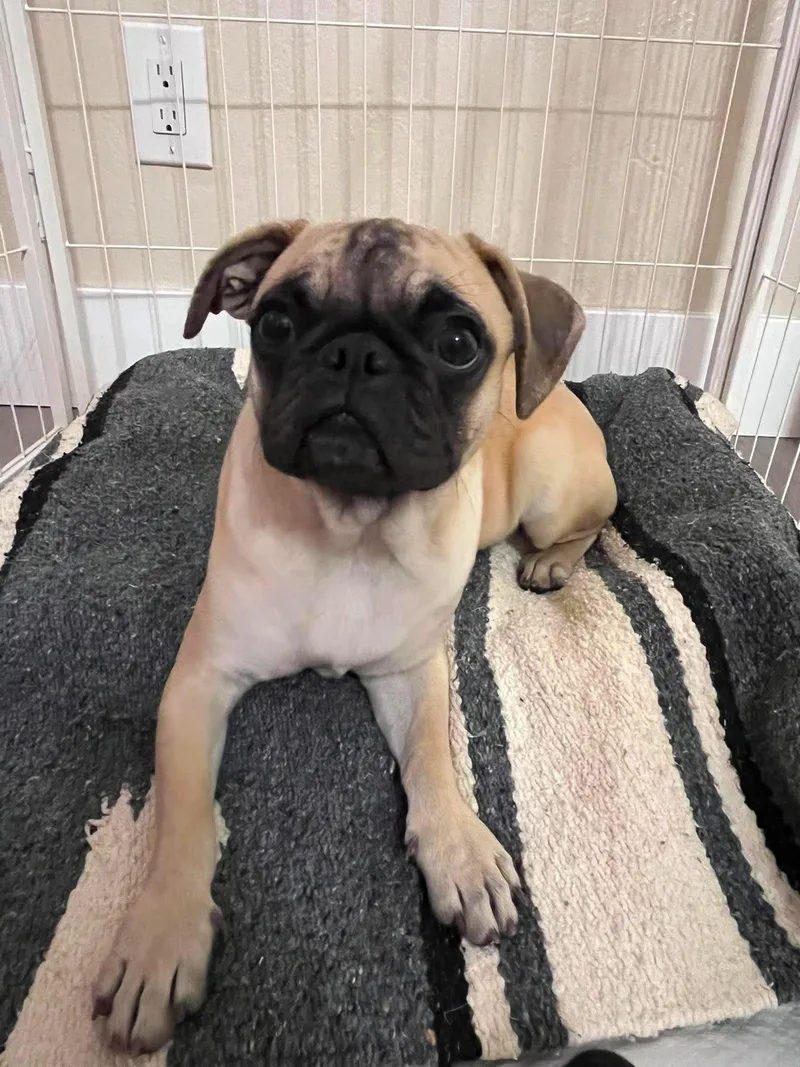 Otis thumbnail 2