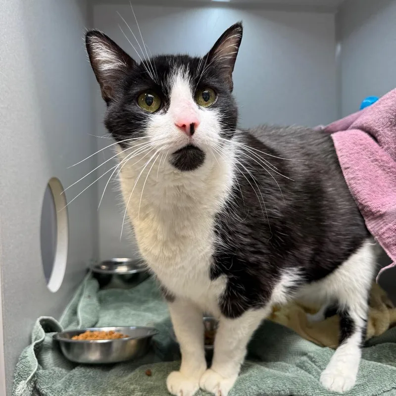 Jimothy thumbnail 3