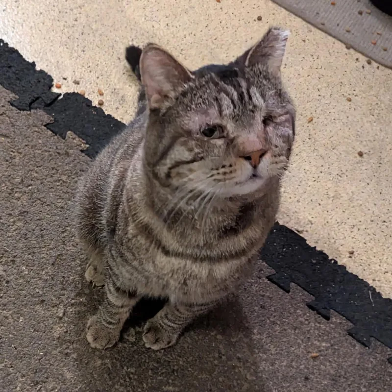 Michael Jordan thumbnail 2