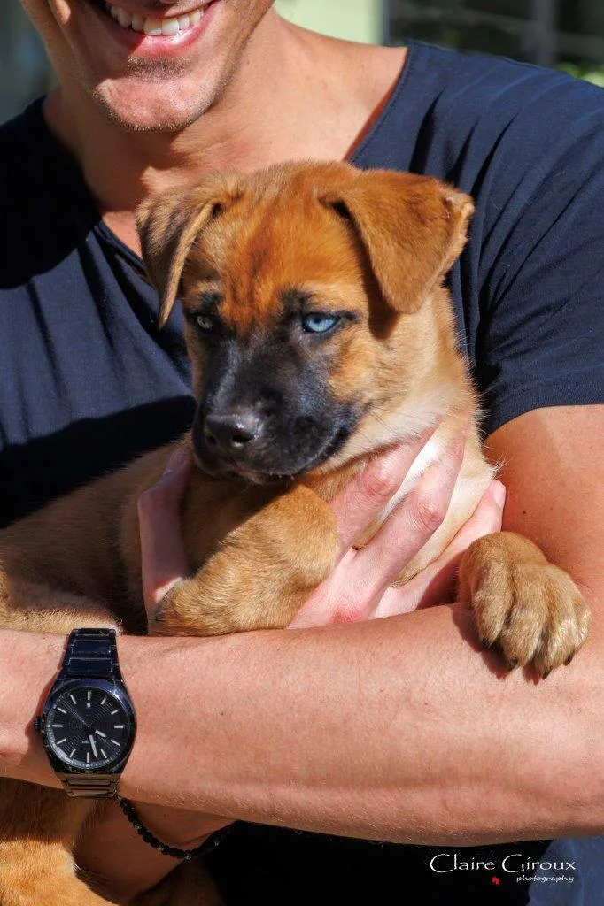 Skyy Aka Moustache thumbnail 2