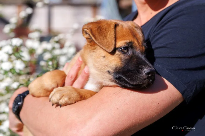 Skyy Aka Moustache thumbnail 3