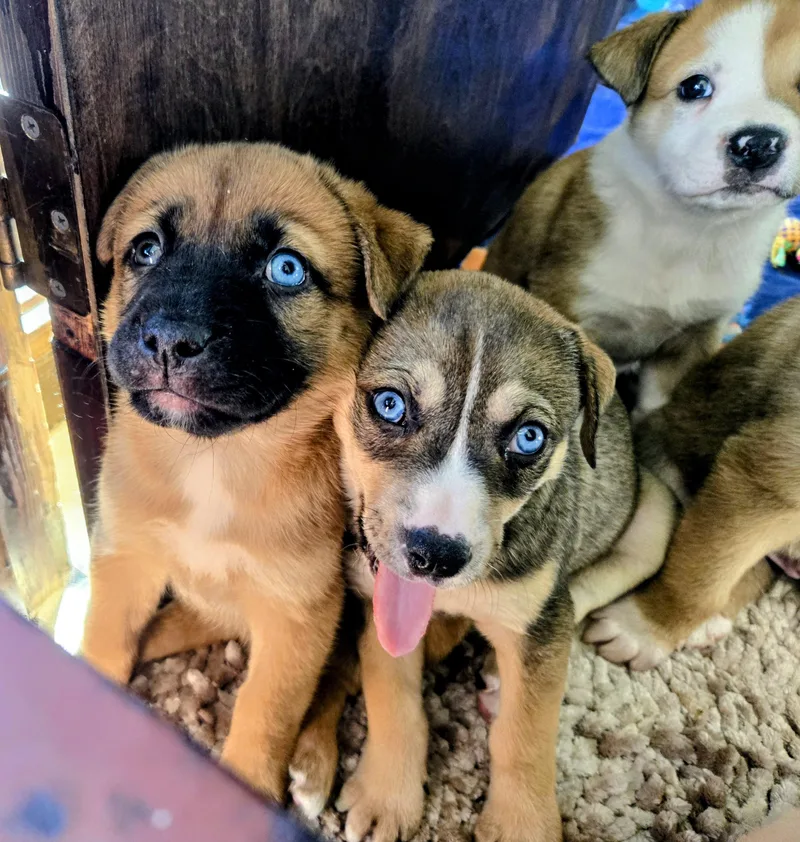 Skyy Aka Moustache thumbnail 4