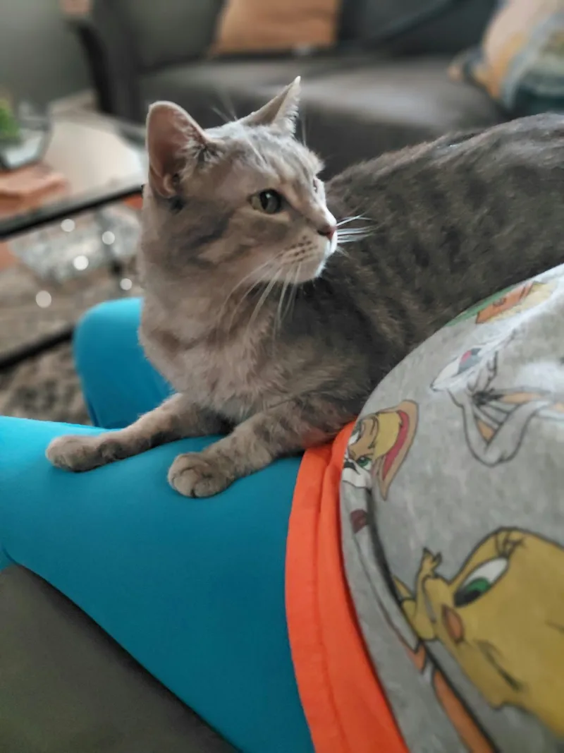 Gracie thumbnail 2