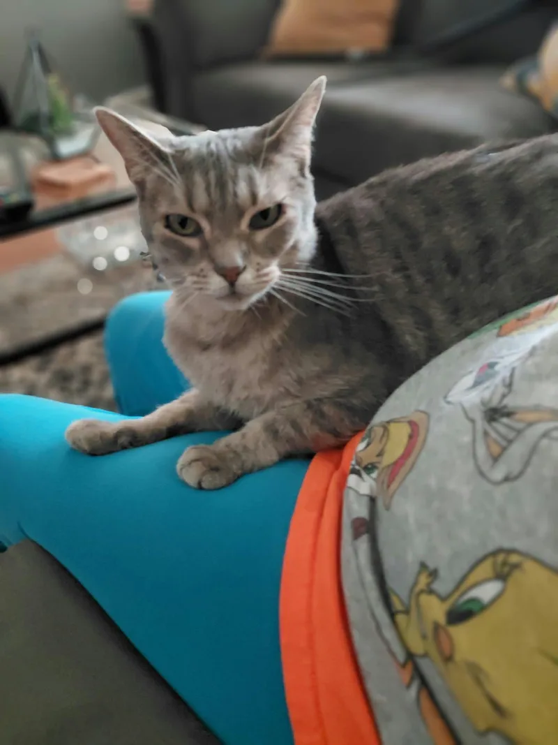 Gracie thumbnail 3
