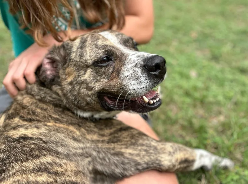 Valentino thumbnail 2