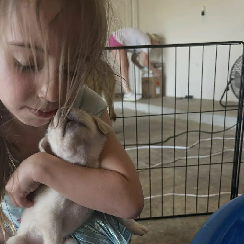 Demetra Gs thumbnail 3