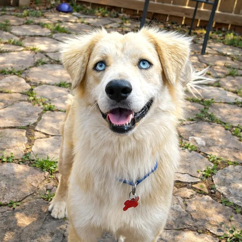 Randy Travis thumbnail 2