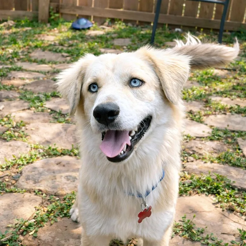 Randy Travis thumbnail 3