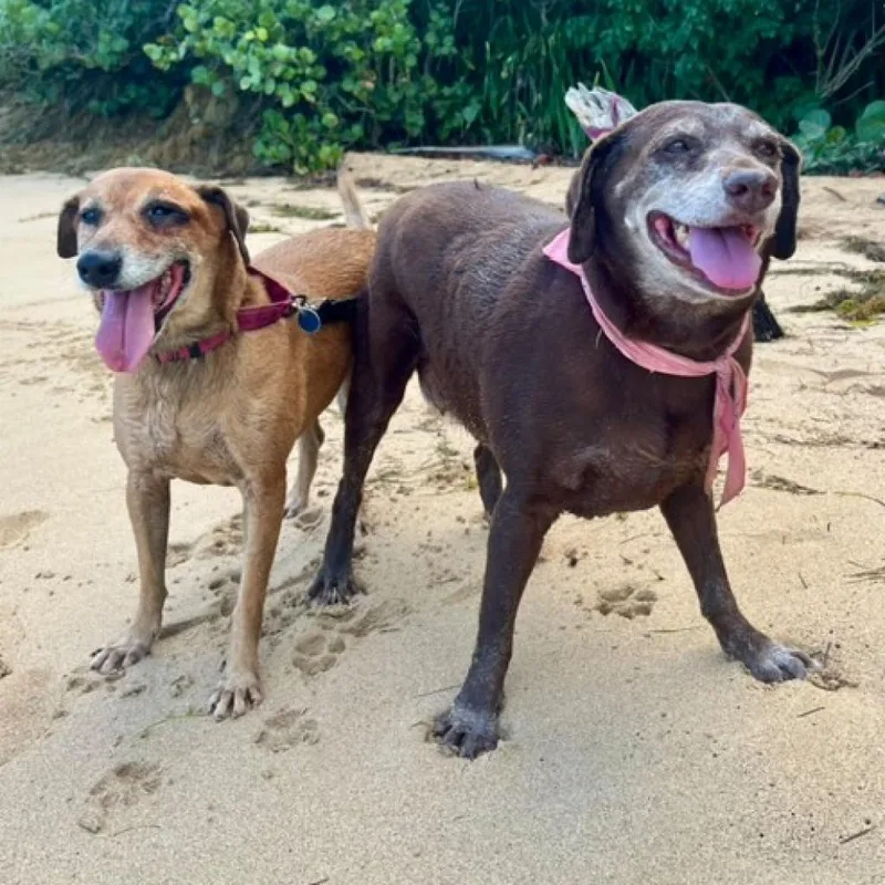 Serena Williams thumbnail 2