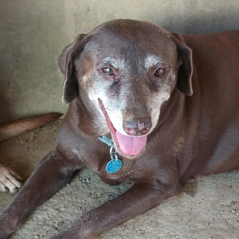 Serena Williams thumbnail 3