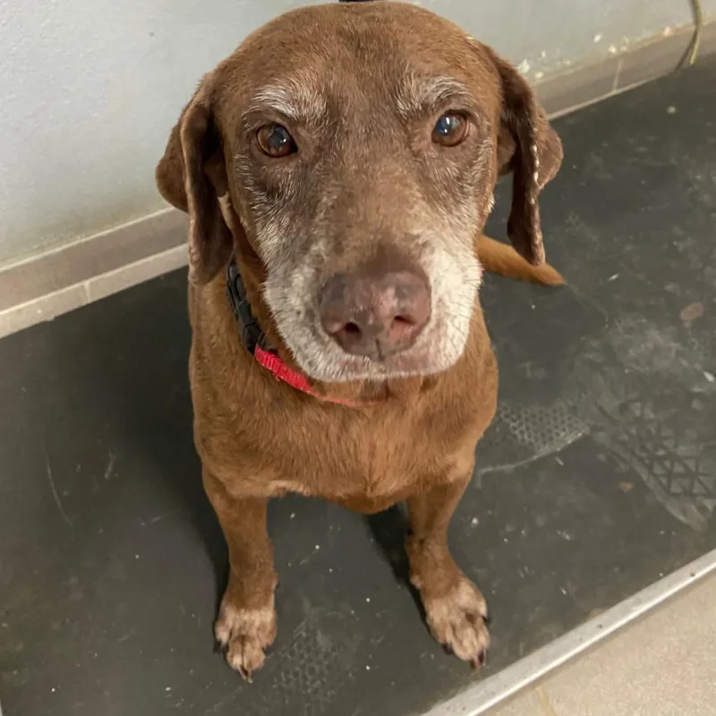 Serena Williams thumbnail 4