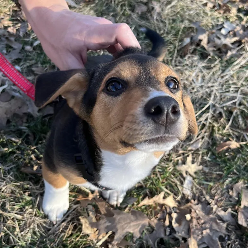 Nellie D thumbnail 2