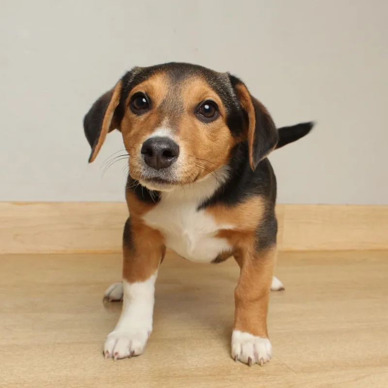 Nellie D thumbnail 4