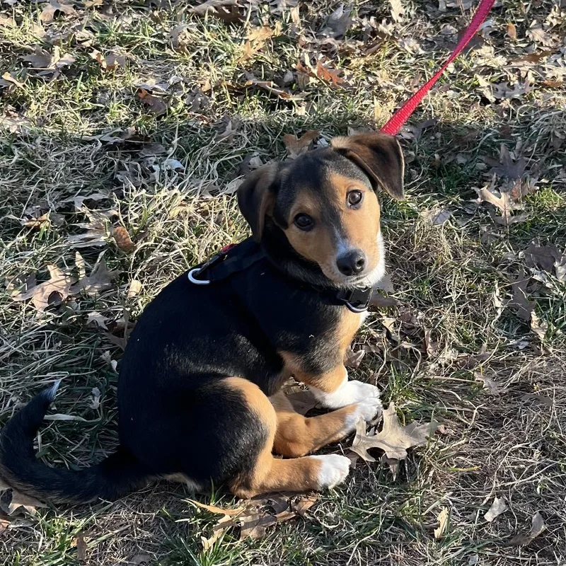 Nellie D thumbnail 5