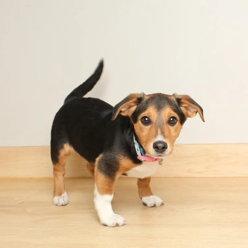 Nellie D thumbnail 6