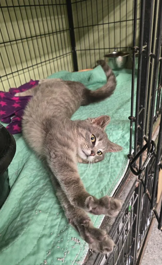 Max Power thumbnail 2