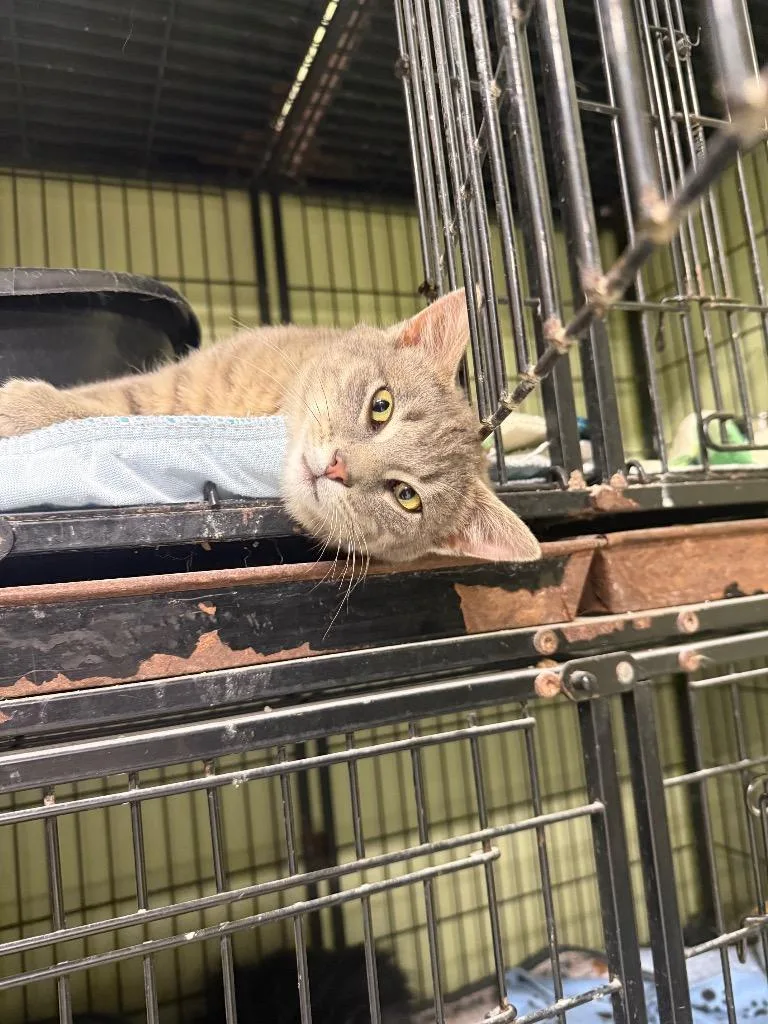 Max Power thumbnail 3