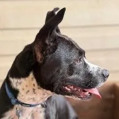 Tilly Grace thumbnail 2