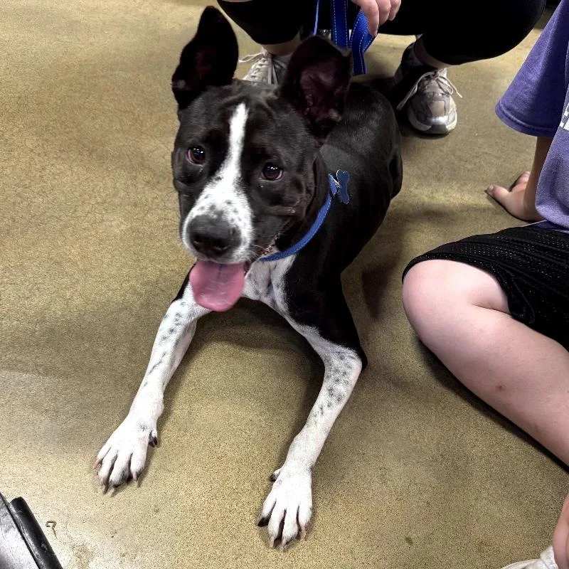 Tilly Grace thumbnail 4