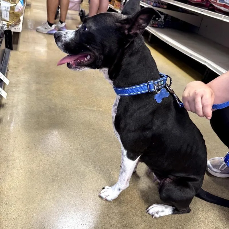 Tilly Grace thumbnail 5