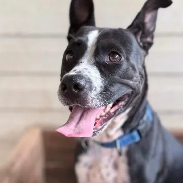 Tilly Grace thumbnail 6