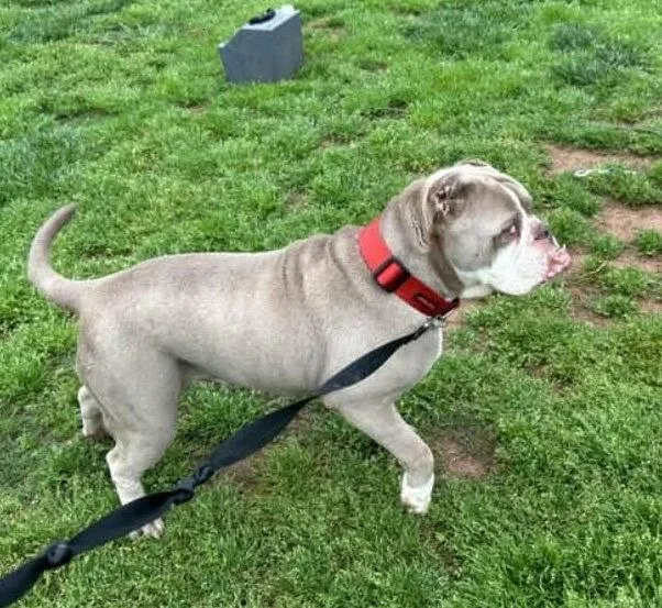 Galactic thumbnail 2