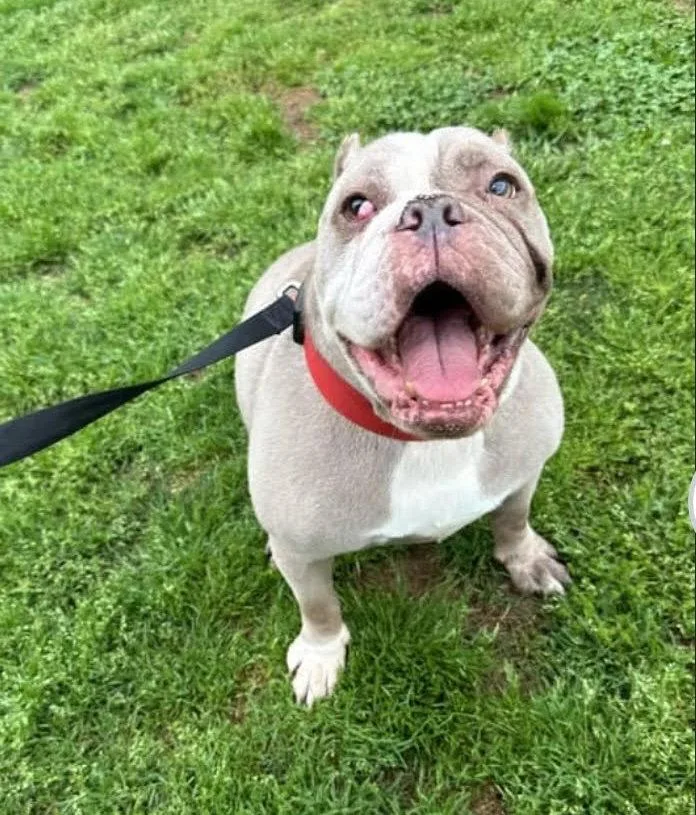 Galactic thumbnail 3