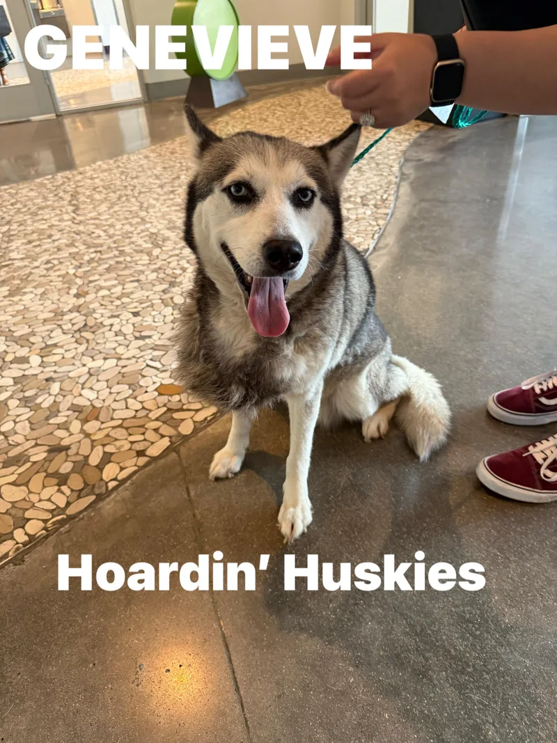 Genevieve thumbnail 2