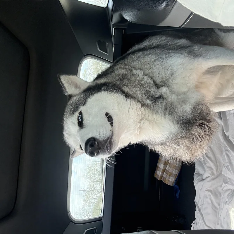 Genevieve thumbnail 3