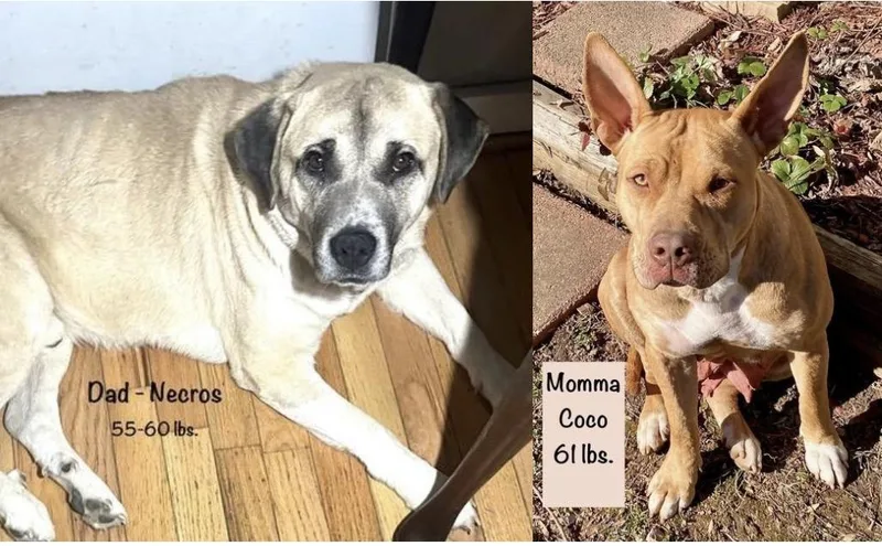 Bailey Spirits  Local thumbnail 2