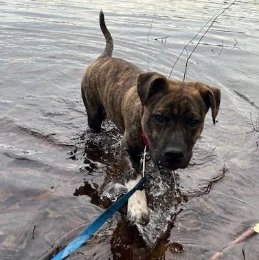 Bailey Spirits  Local thumbnail 3