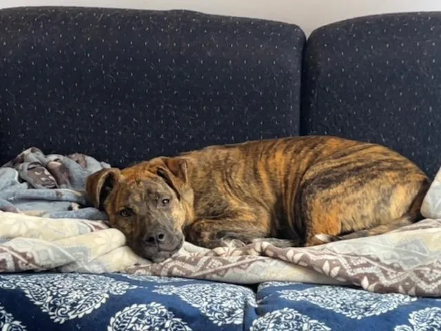 Bailey Spirits  Local thumbnail 5