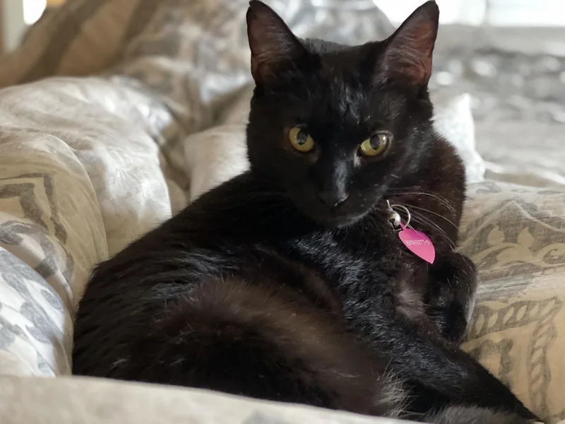 Birgitta thumbnail 3