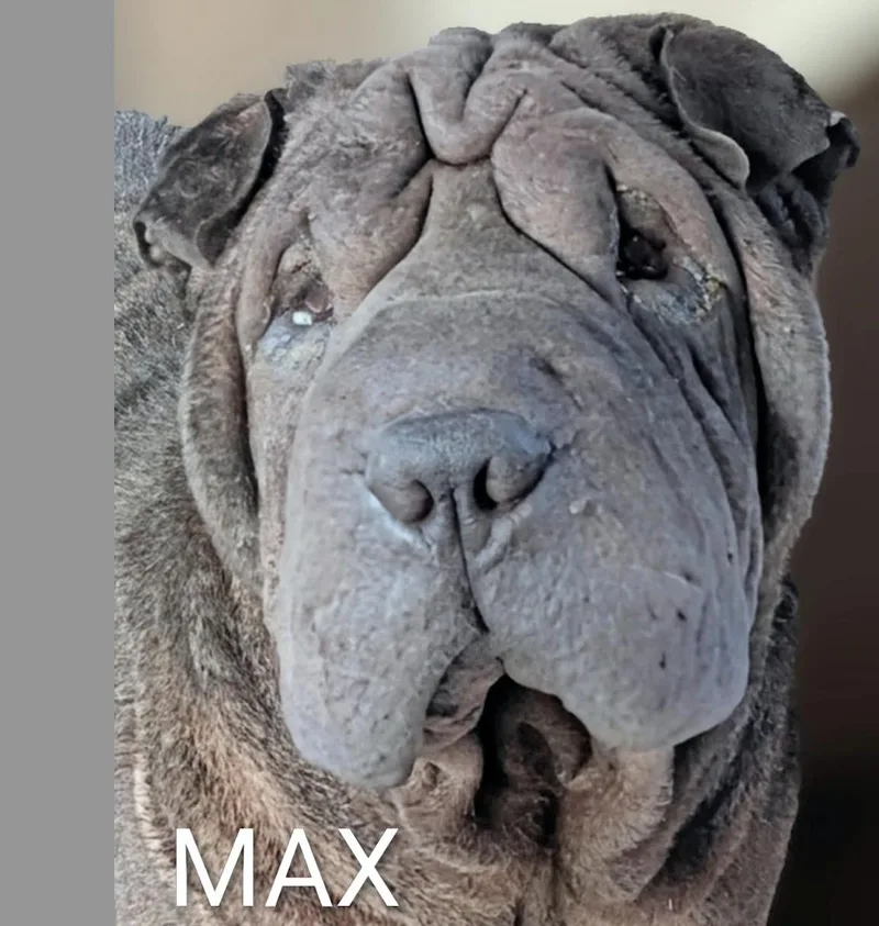 Max