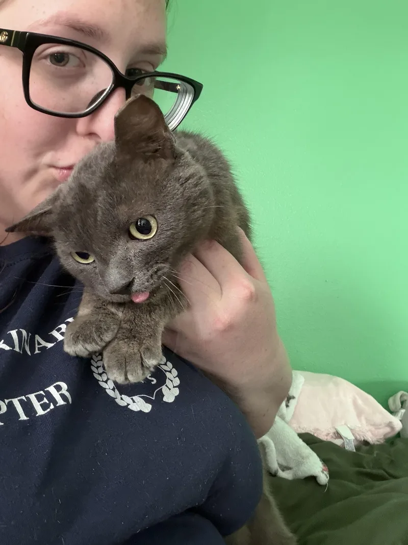 Charlie thumbnail 3