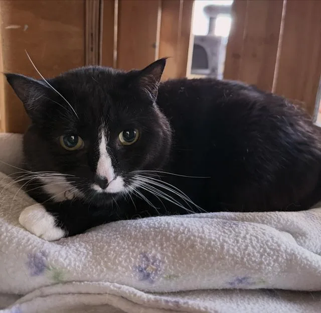 Carousel thumbnail 2