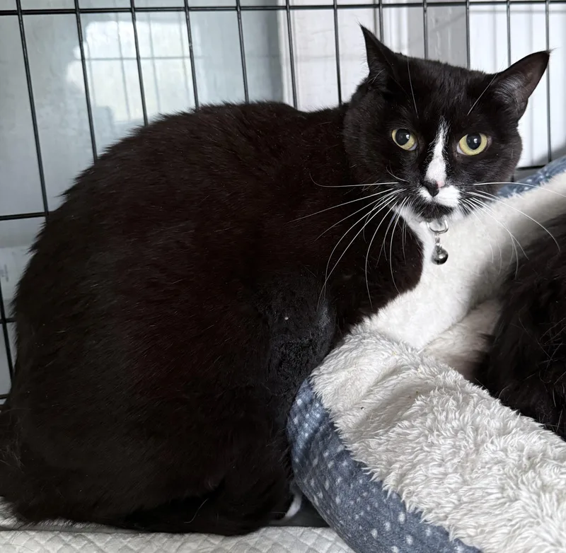 Carousel thumbnail 3