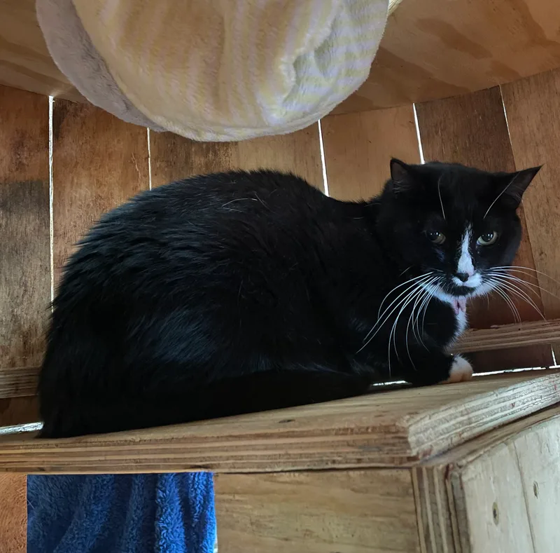 Carousel thumbnail 4